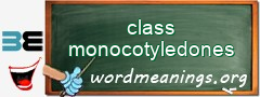 WordMeaning blackboard for class monocotyledones
